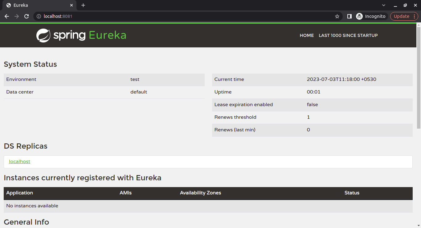 instances registered with Eureka