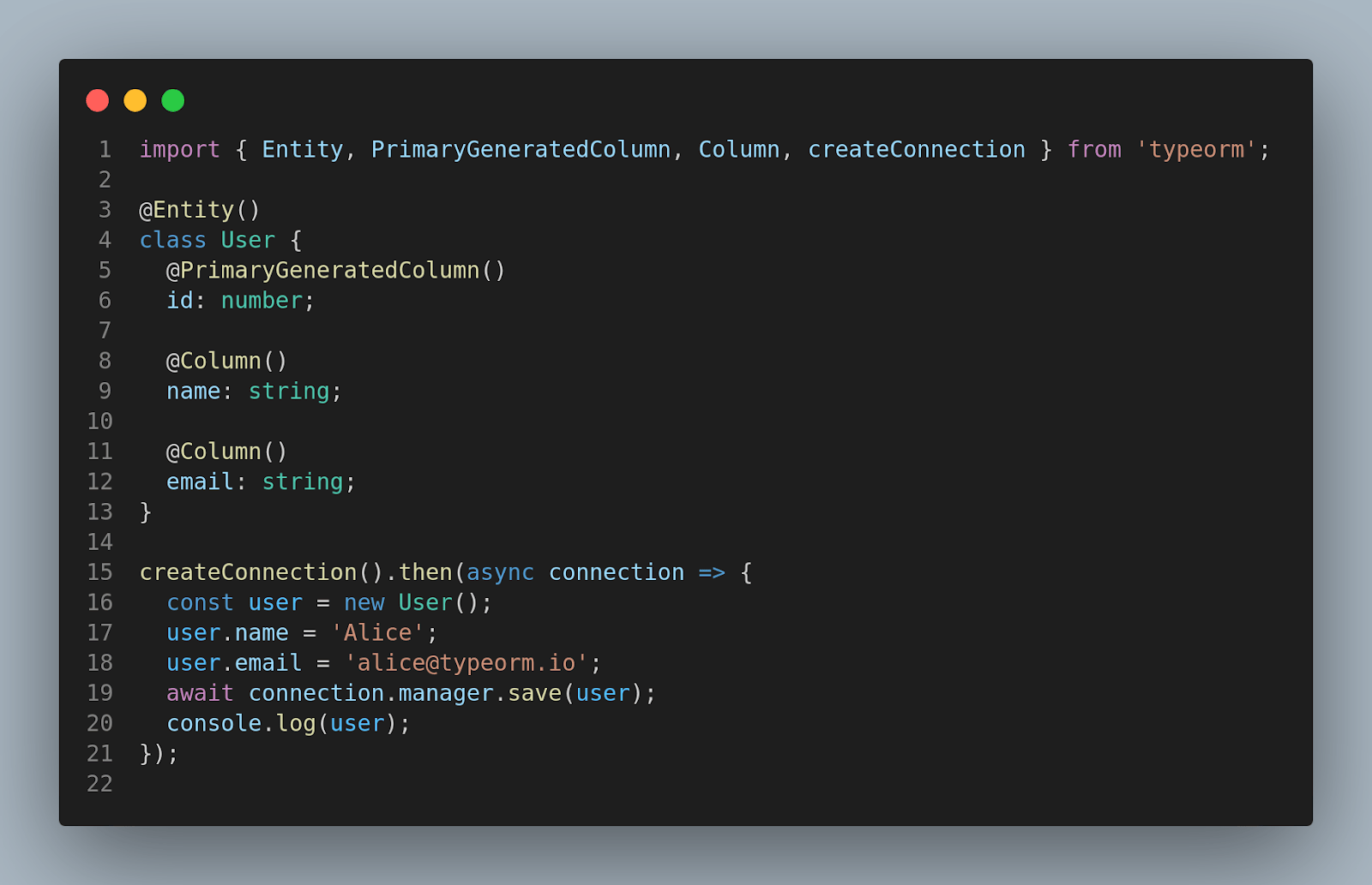 TypeORM Example