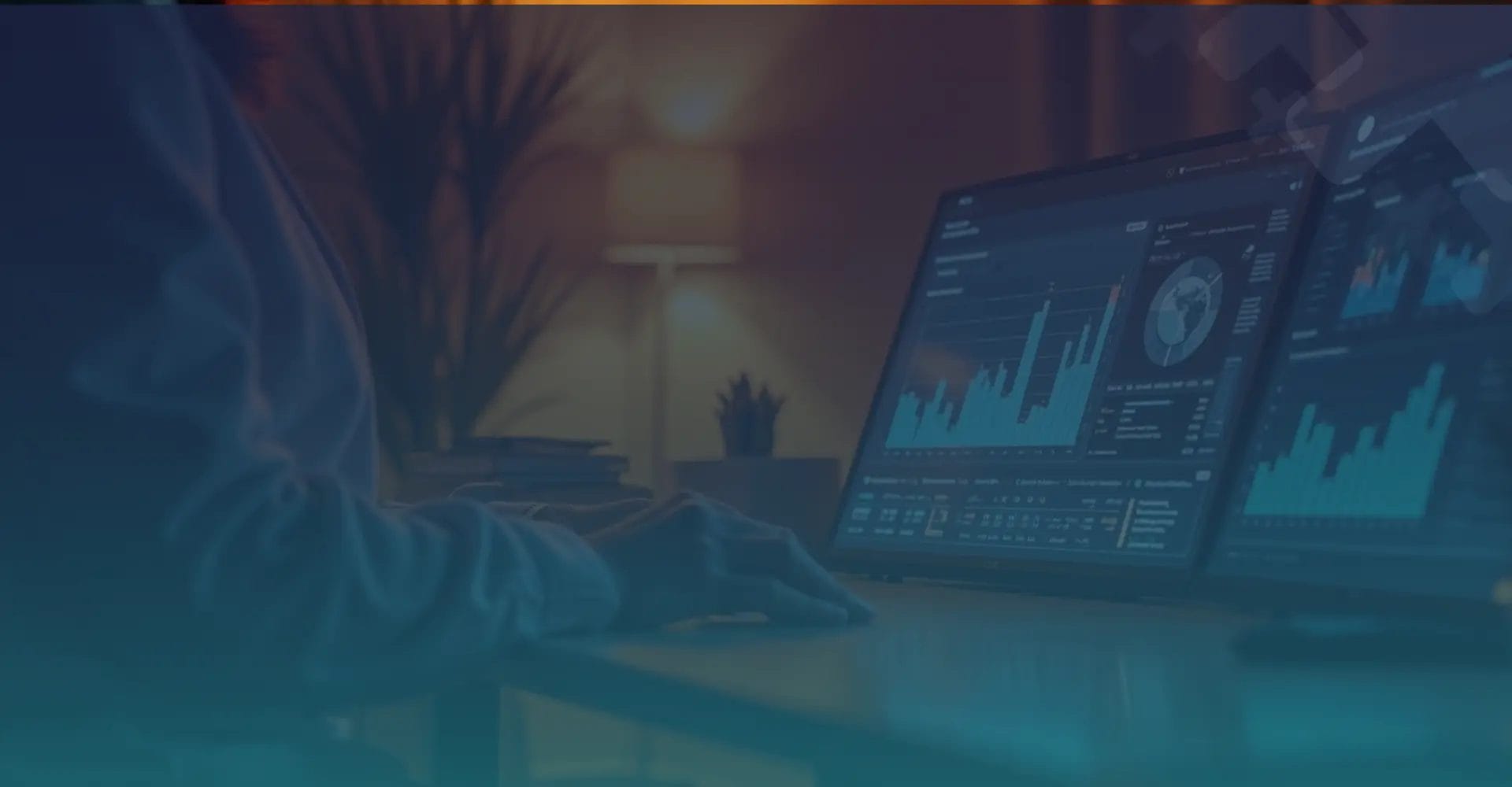 Healthcare Integration Expertise