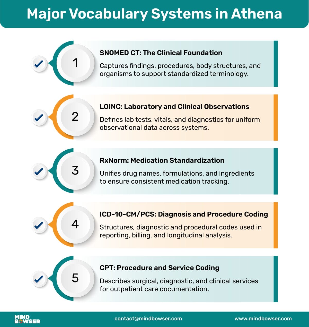 Vocabulary-Systems-in-Athena